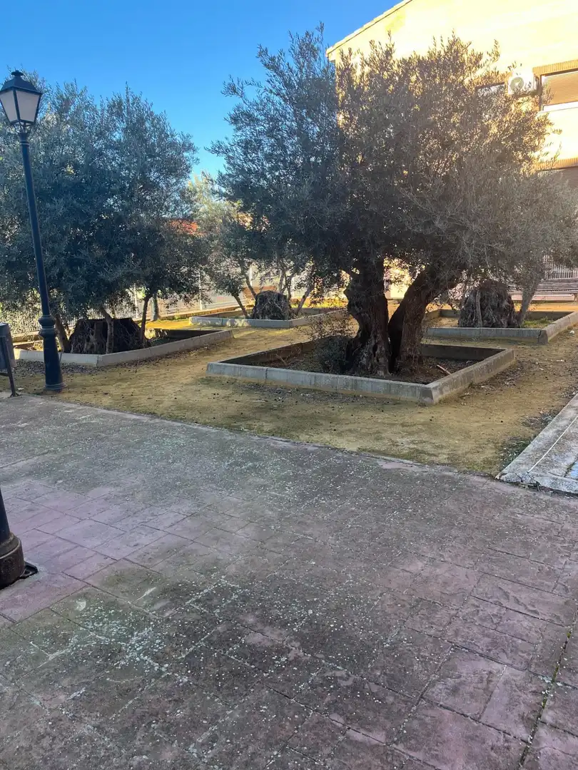 Piso en venta en Alameda de la Sagra con Calefacción, Jardín privado y Trastero