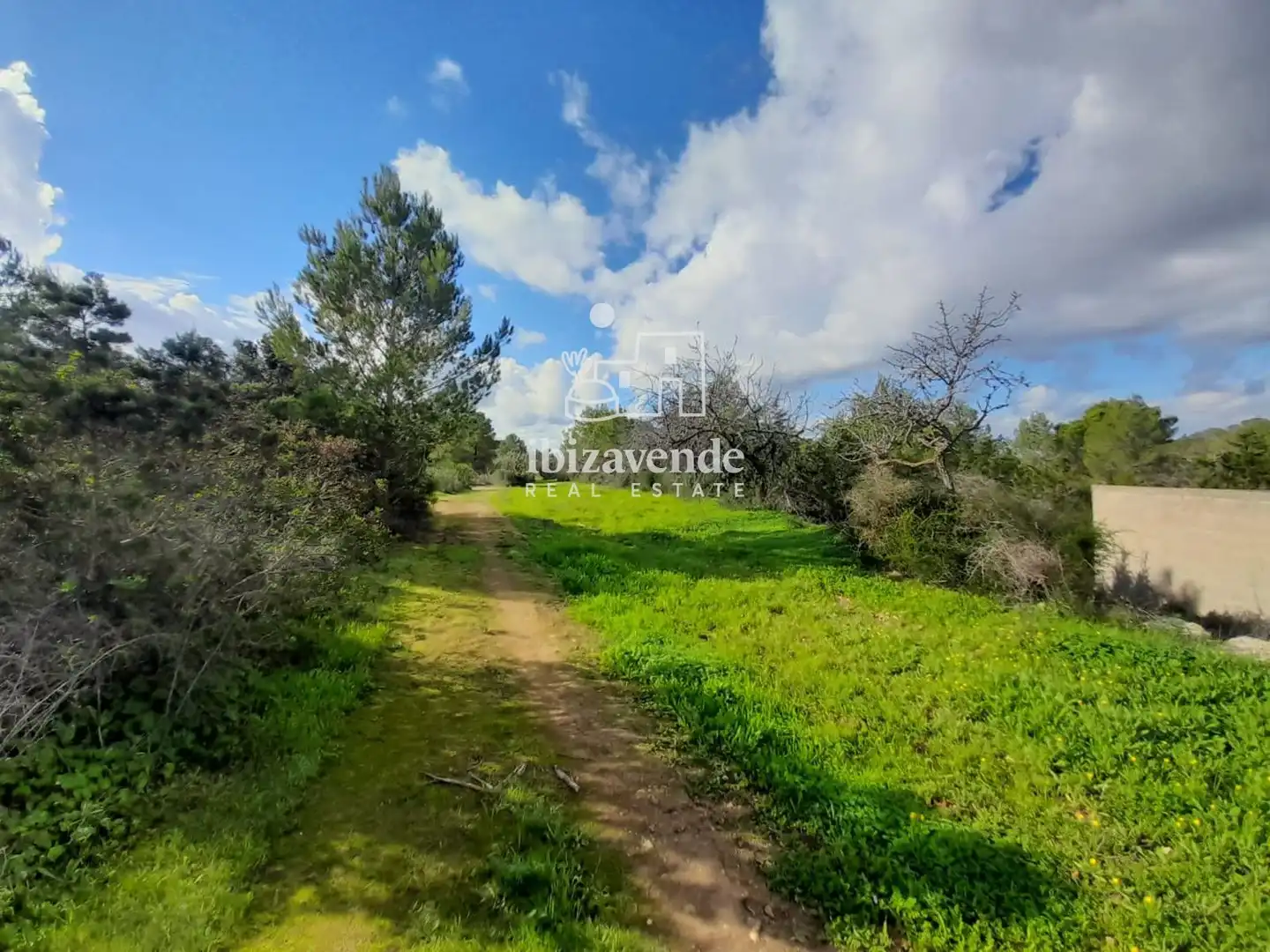 Terreny rústic en venda a de cala tarida, imagen 7