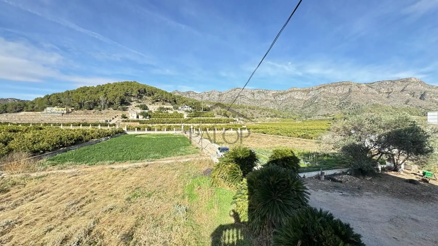 Vista exterior de Finca rústica en venta en Benifairó de la Valldigna con Terraza