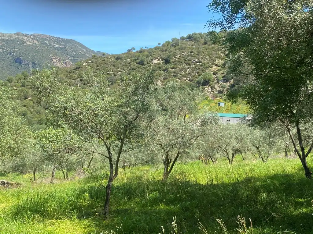 Casa rústica en venda a Gaucín, imagen 22