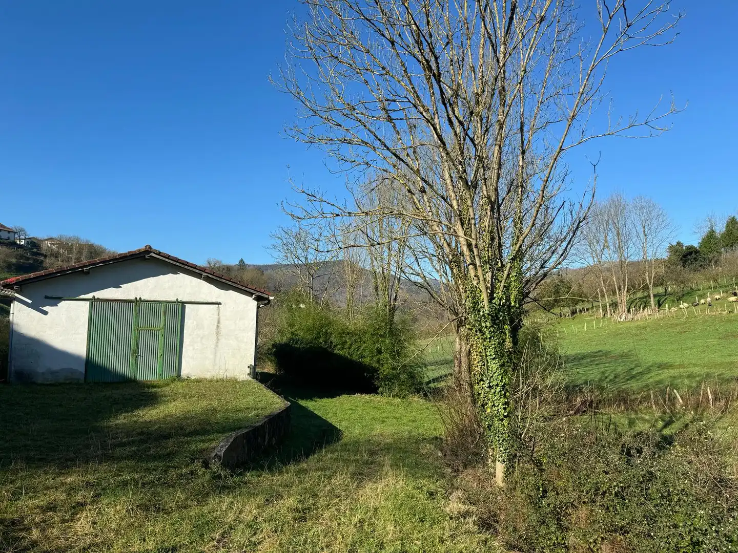 Houses for sale in N/A, -1, Altzo