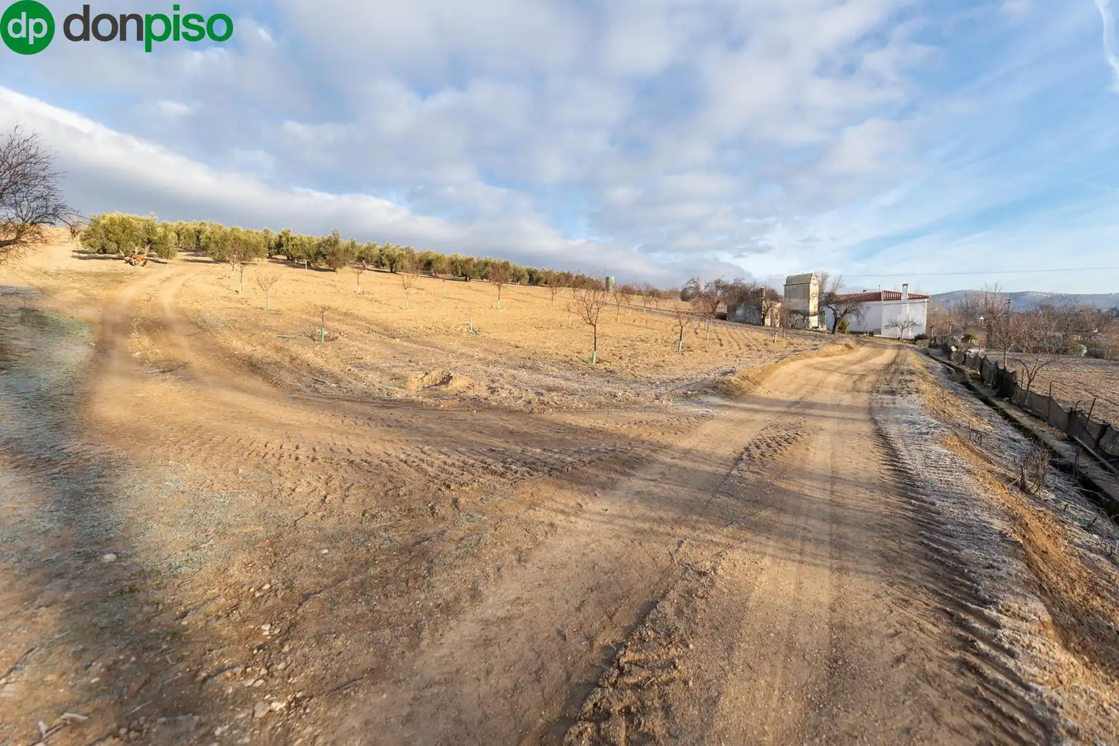 Finca rústica en venta en Calle CAGALONA, 3, Píñar