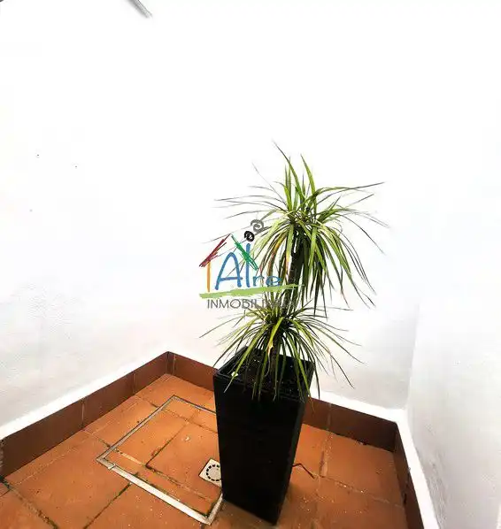 Jardín de Casa adosada en venta en Almonte con Aire acondicionado, Calefacción y Jardín privado