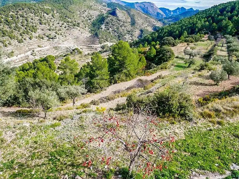 Finca rústica en venta en Relleu con Aire acondicionado, Jardín privado y Terraza