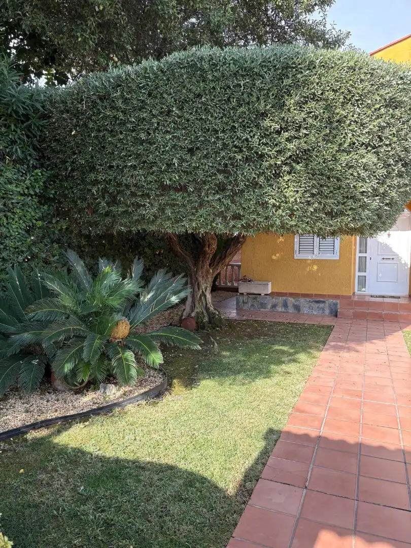 Haus oder Chalet zur Miete in Riba-roja de Túria, Valencia