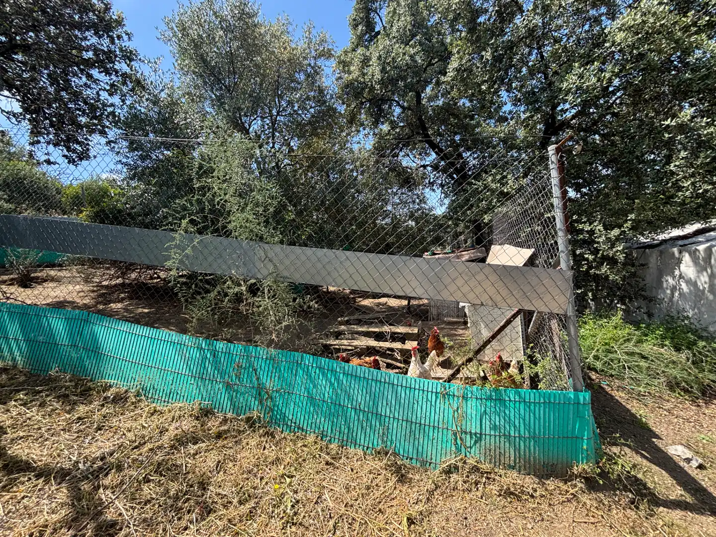 Finca rústica en venda en Andújar amb Aire condicionat, Jardí privat i Piscina