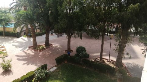 Foto 5 de Apartament de lloguer a Avinguda de la Constitució, Platja de la Pobla de Farnals, La Pobla de Farnals