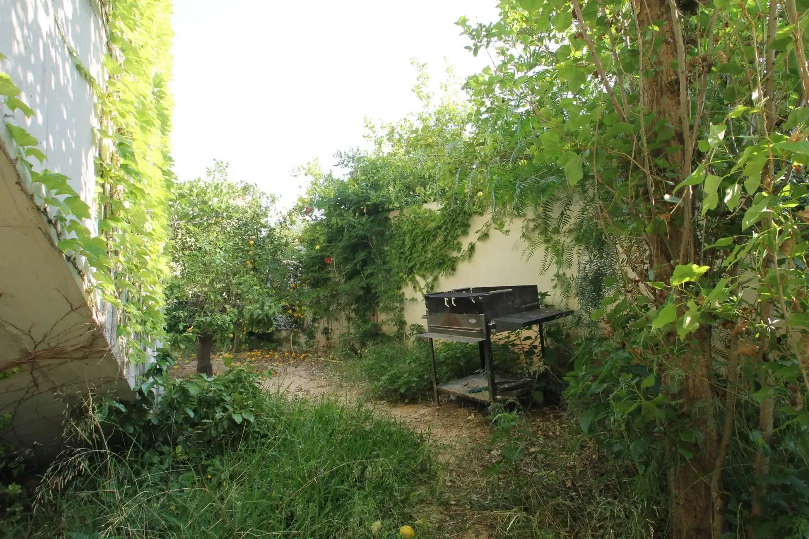 Garden of Houses for sale in San Vicente del Raspeig / Sant Vicent del Raspeig  with Private garden, Storage room and Swimming Pool