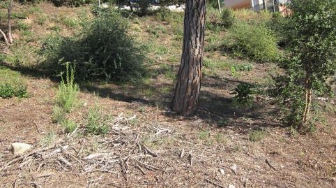 Foto 3 de Residencial en venda a Carrer del Puig Colomer, Terrafortuna - Puig Ventós, Vidreres