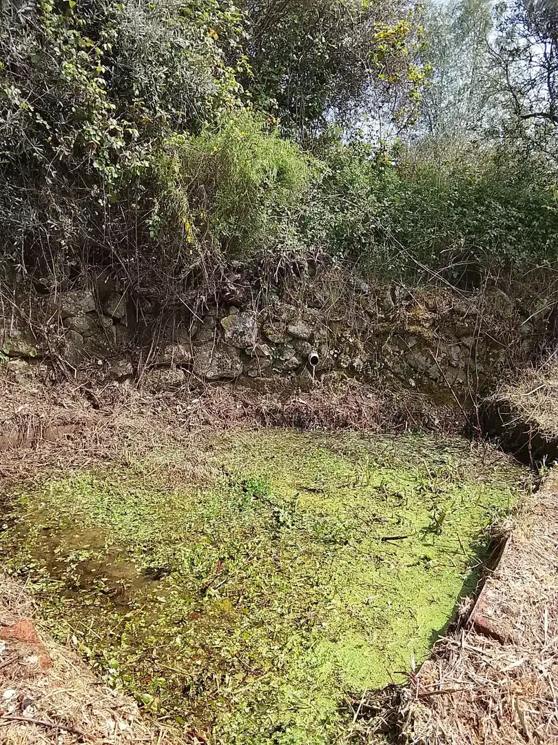 Terreni e lotti in vendita a Viandar de la Vera, imagen 14