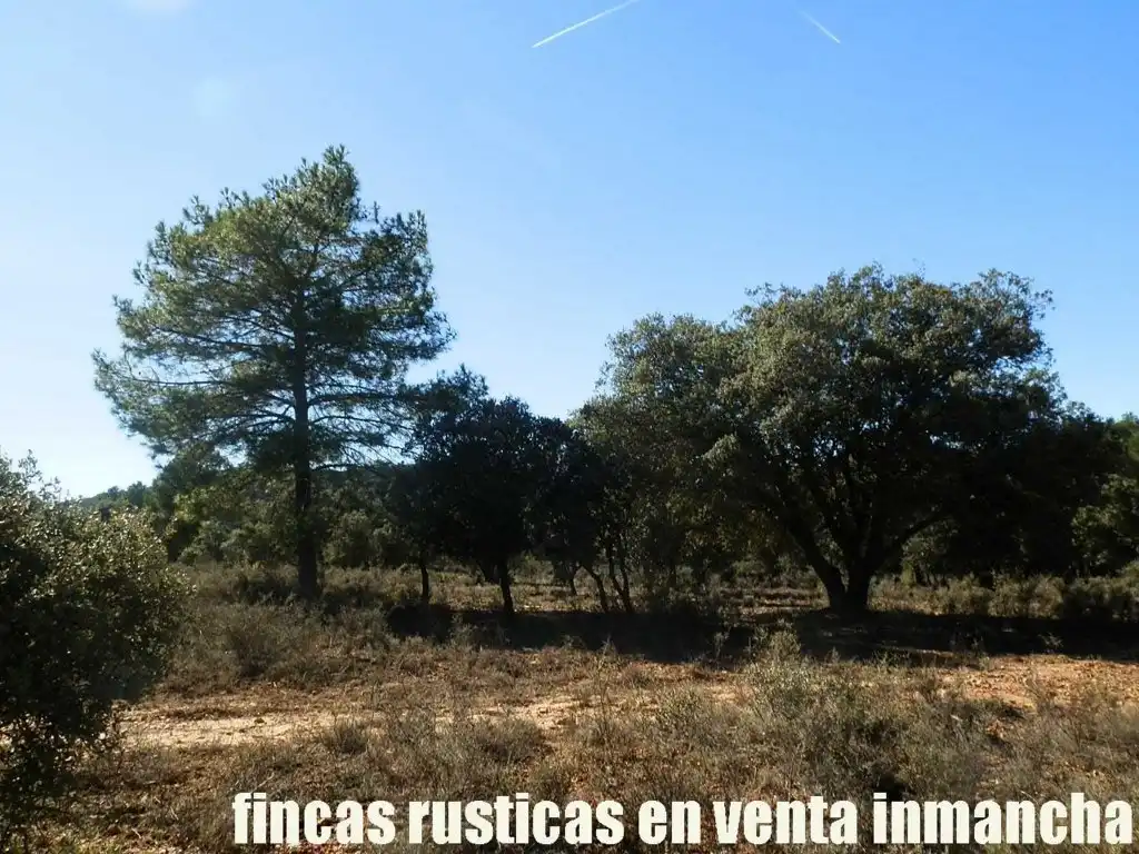 Land for sale in Valdeolivas