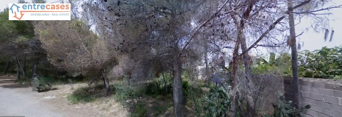 Terreni e lotti in vendita a Sagunto ciudad, imagen 18