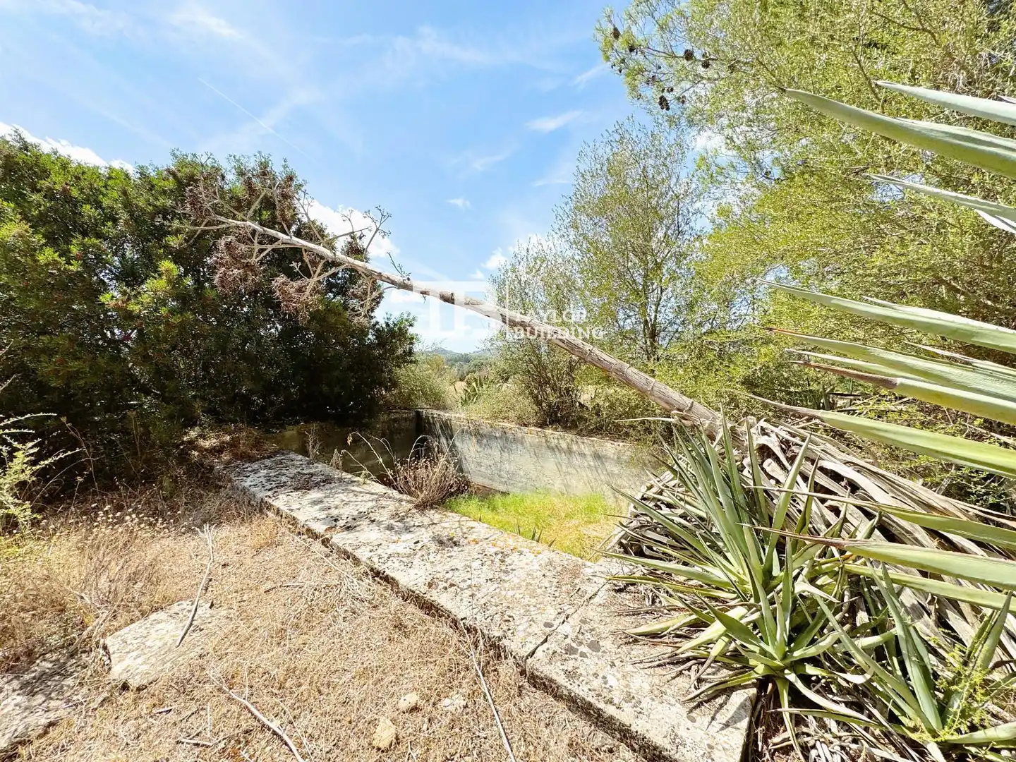 Casa o xalet en venda en Alaró amb Terrassa i Piscina