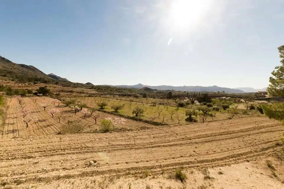 Terrenys i solars en venda a Camino Vereda 3, imagen 2