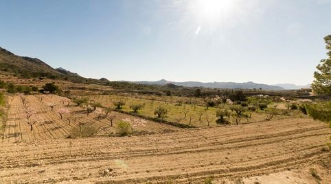SE VENDE SUELO URBANIBLE EN BARINAS ( ABANILLA ), immagine 2