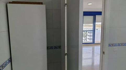 Foto 5 von Wohnung zur Miete in Av. de las Ciencias, Colores - Entreparques, Sevilla Capital