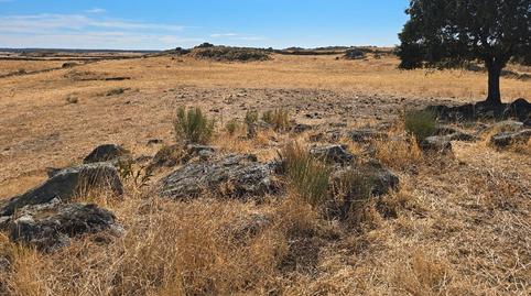 Foto 2 de Terreny en venda a Carretera Mata de Alcantara, 2, Villa del Rey, Cáceres