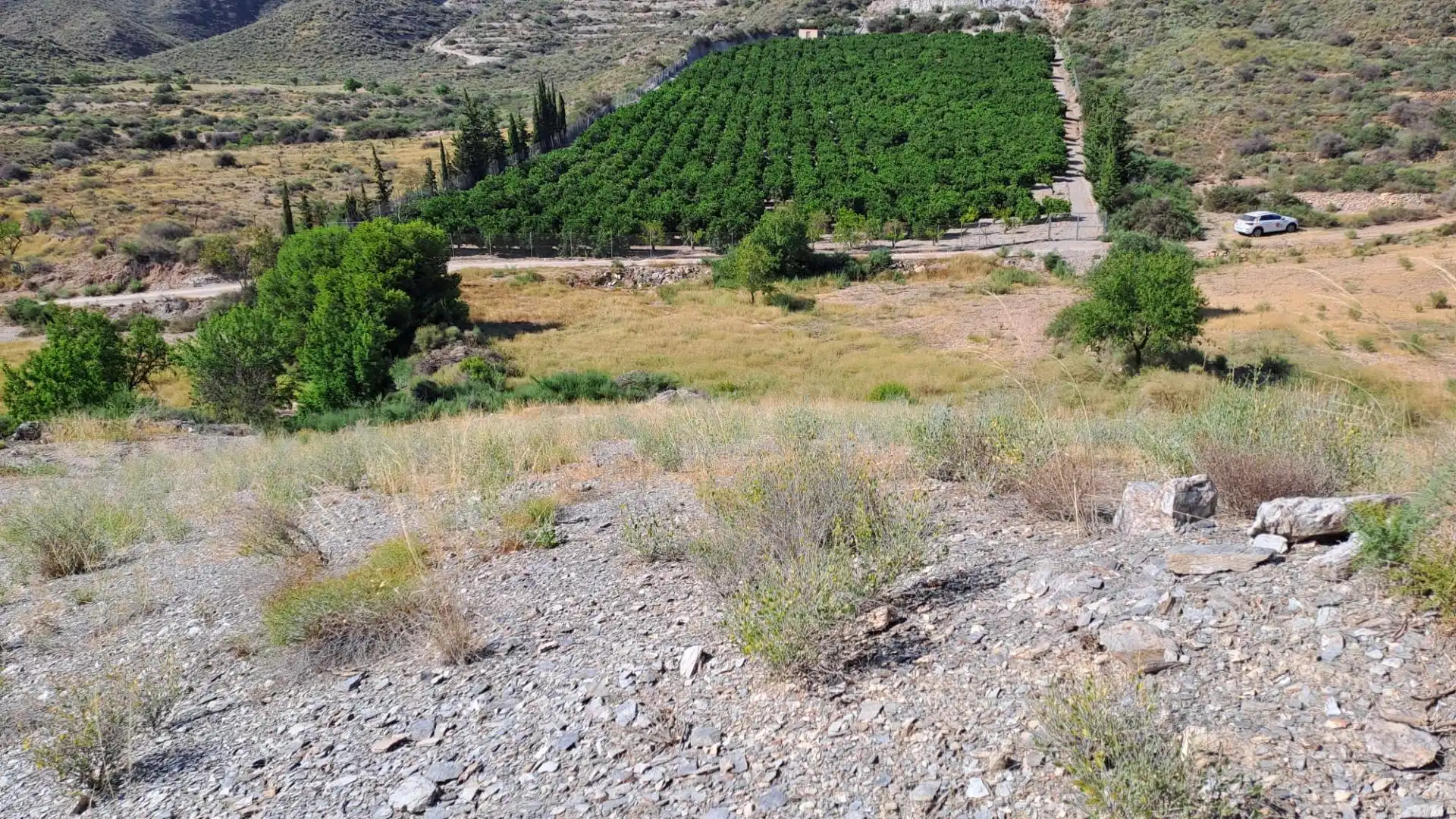 Terreny rústic en venda a Tébar - Los Arejos, imagen 8