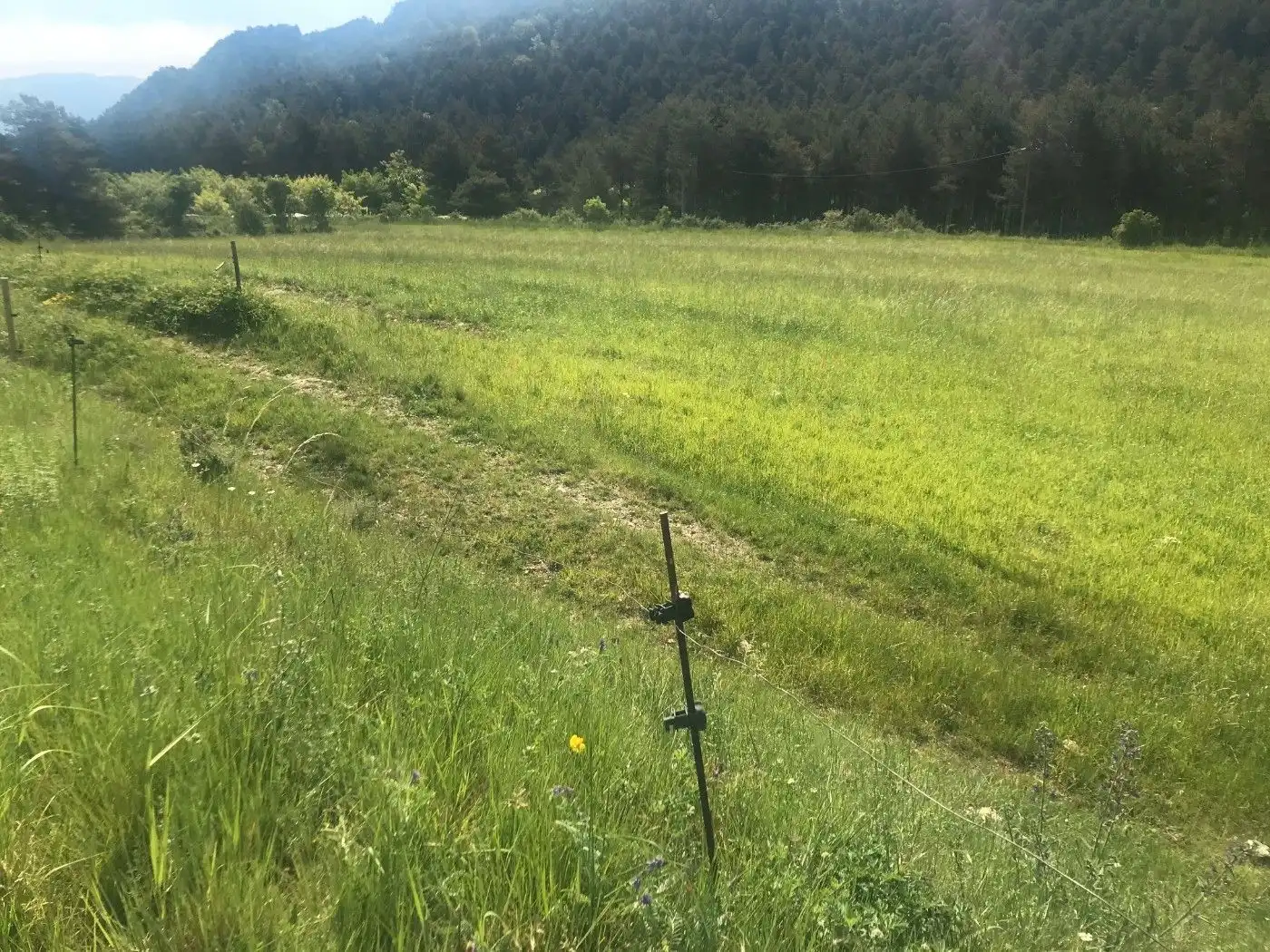Wohnbaugrundstück zum Verkauf in Berga, imagen 21
