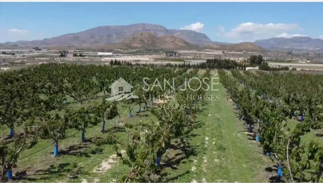 Terreno residencial en venta en Monforte del Cid, imagen 7