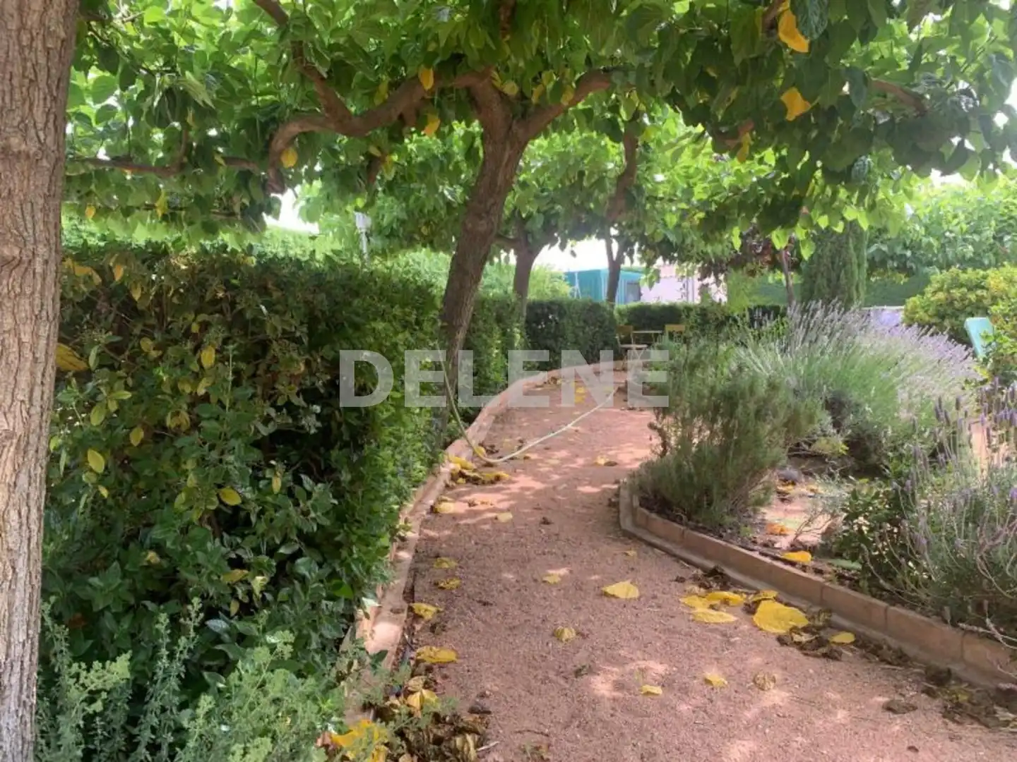 Xalet amb terrassa en venda a Hellín, imagen 7