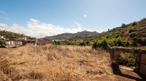 Photo 3 of Land for sale in El Llanillo, El Álamo - Arbejales, Las Palmas