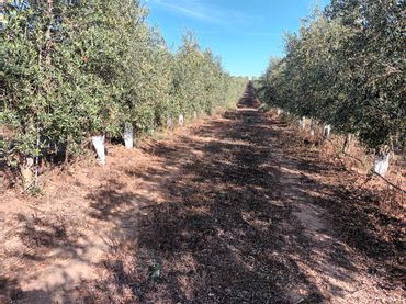 Terreno rustico in vendita a Villamiel de Toledo