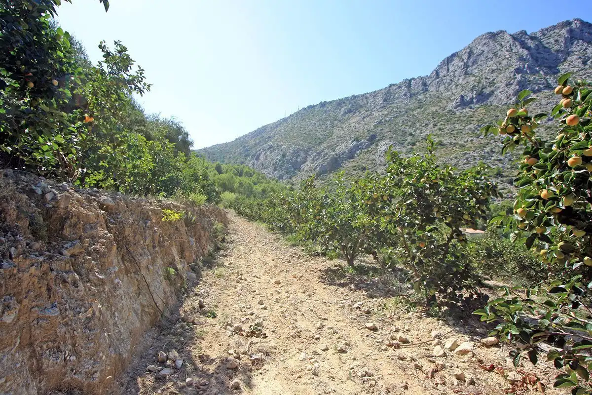 Terrenys i solars en venda a Beniarbeig, imagen 12