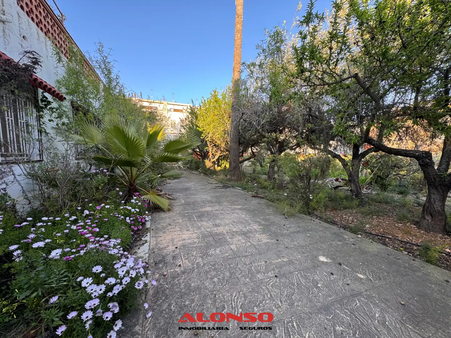 Villa mit Pool zum Verkauf in Carrer Hernán Cortés, imagen 4