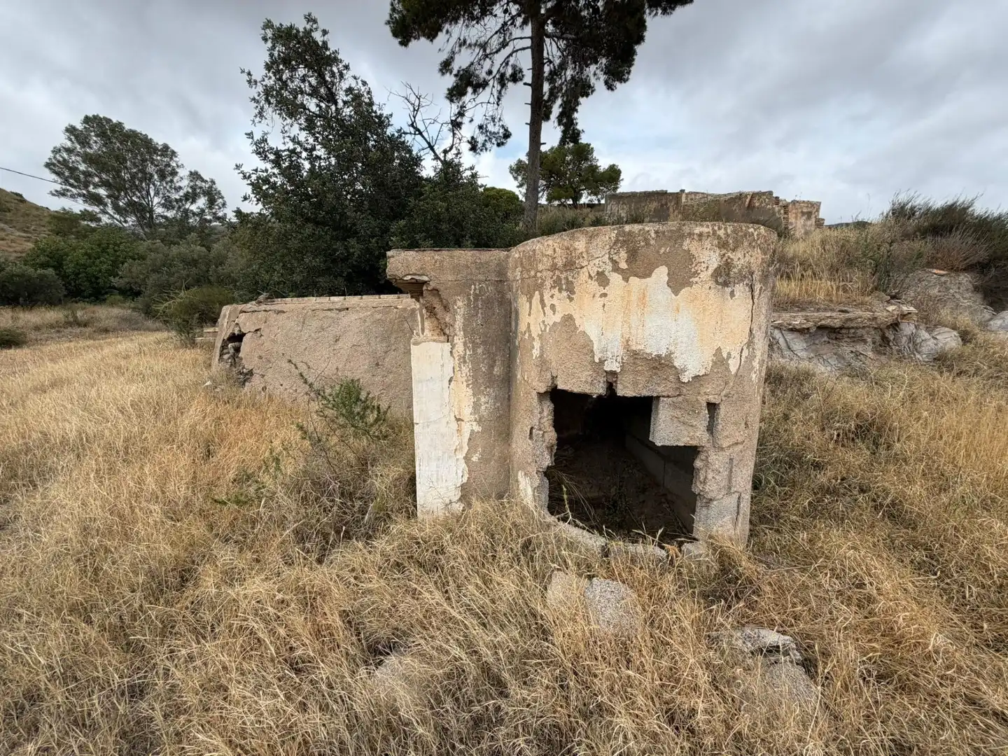 Vista exterior de Finca rústica en venta en Lorca con Jardín privado, Terraza y Piscina