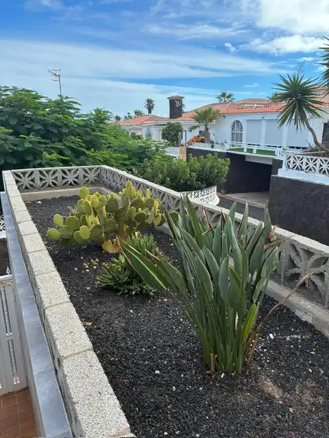Bungalow amb piscina en venda a Calle Ulises 40, imagen 3