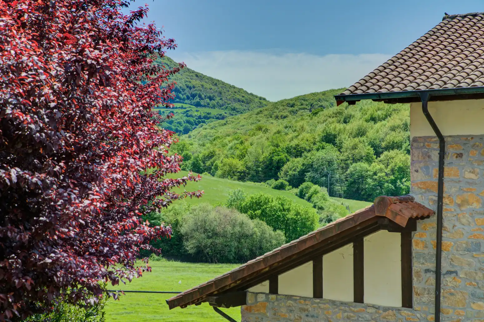 Casa o chalet en venta en Eraso - San Miguel 30. Imotz, Imotz