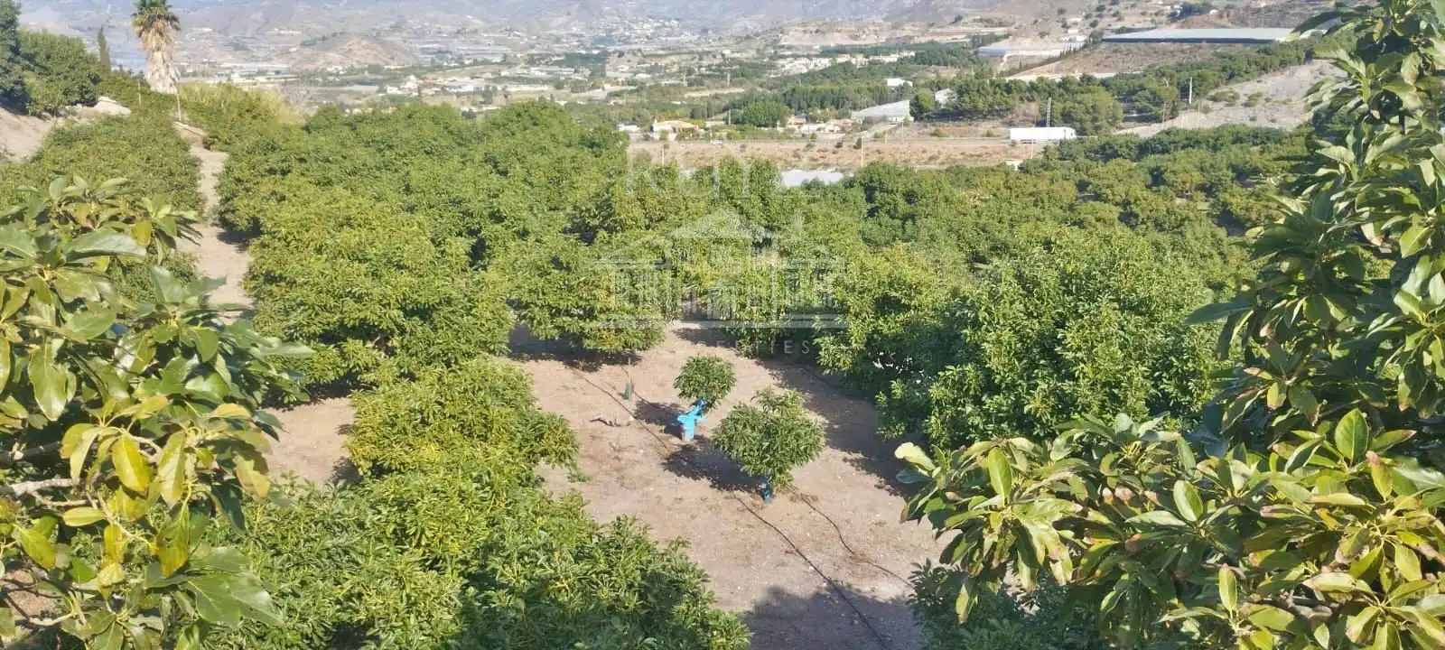 Terreni e lotti in vendita a Barranco del Inglés, imagen 53