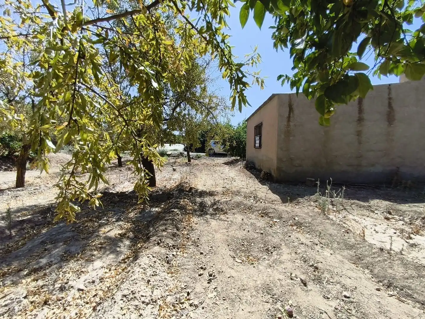 Rural land for sale in 2C55+9GC Cozvijar 0, imagen 27
