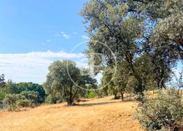 Terreno residencial en Venta en Fuente del Fresno