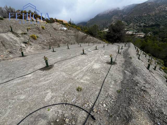 Terreno en Venta en Molvízar