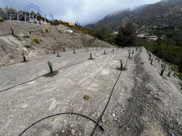 Terreno rustico in vendita a Molvízar