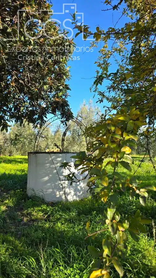 Garden of Country homes for sale in Pilas  with Air Conditioner, Terrace and Storage room