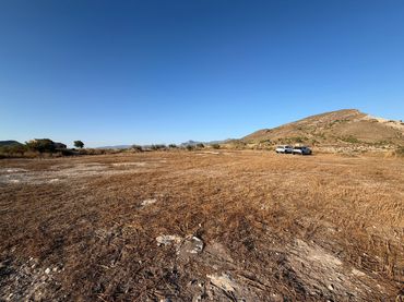Terrenos y solares en venta en Novelda