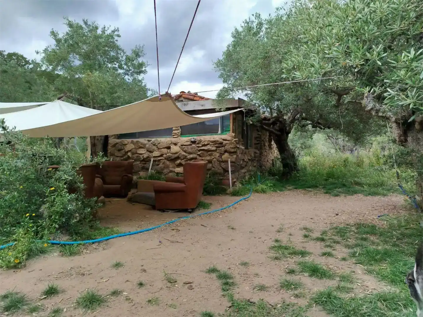 Exterior view of Land for sale in Torre de Don Miguel
