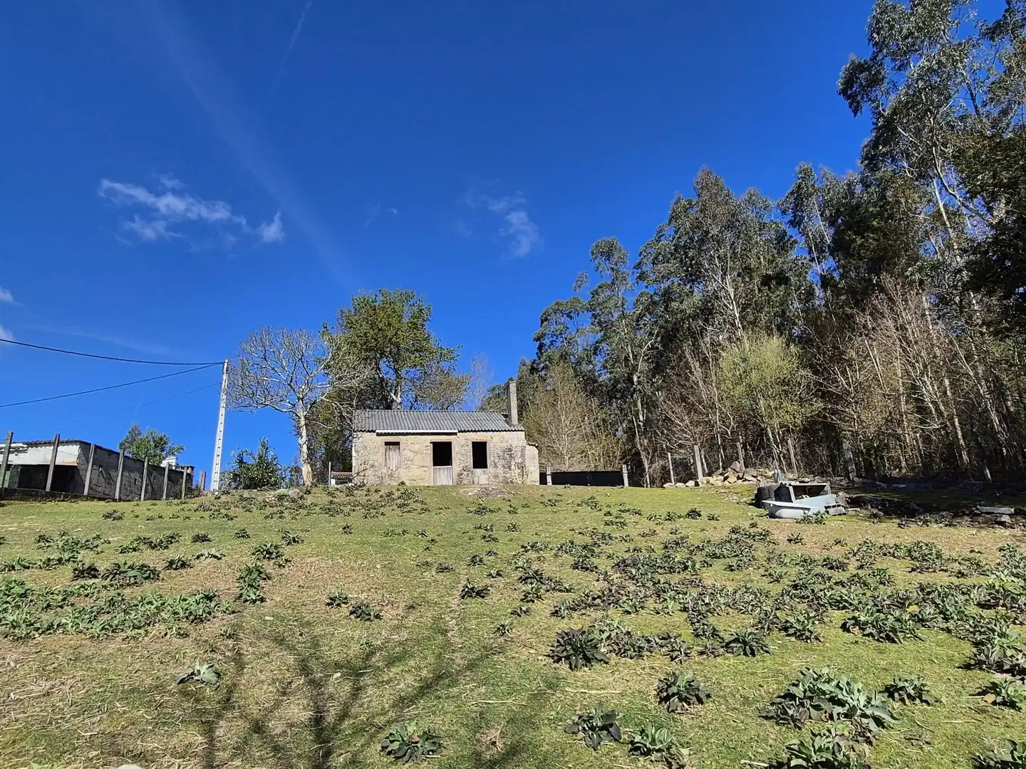 Vista exterior de Casa o xalet en venda en Ames amb Jardí privat