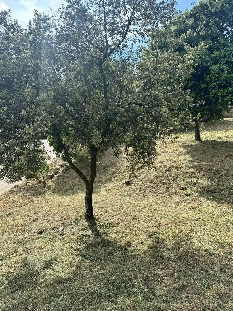 Lands and plots for sale in Caldes de Montbui, imagen 9