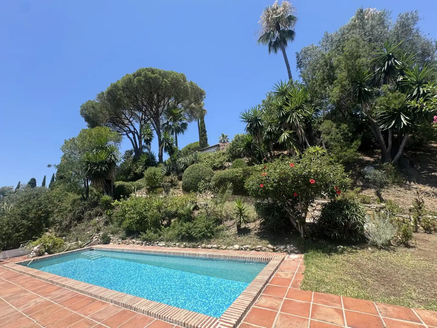Jardín de Casa o chalet en venta en Benahavís con Aire acondicionado, Terraza y Piscina