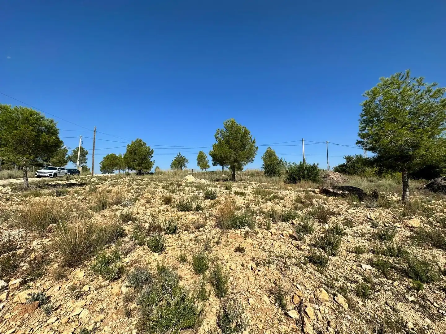Terreny residencial en venda a Catadau