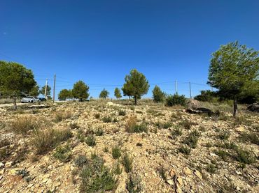 Terreno residenziale in vendita a Catadau