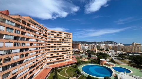 Estudio con licencia turística
