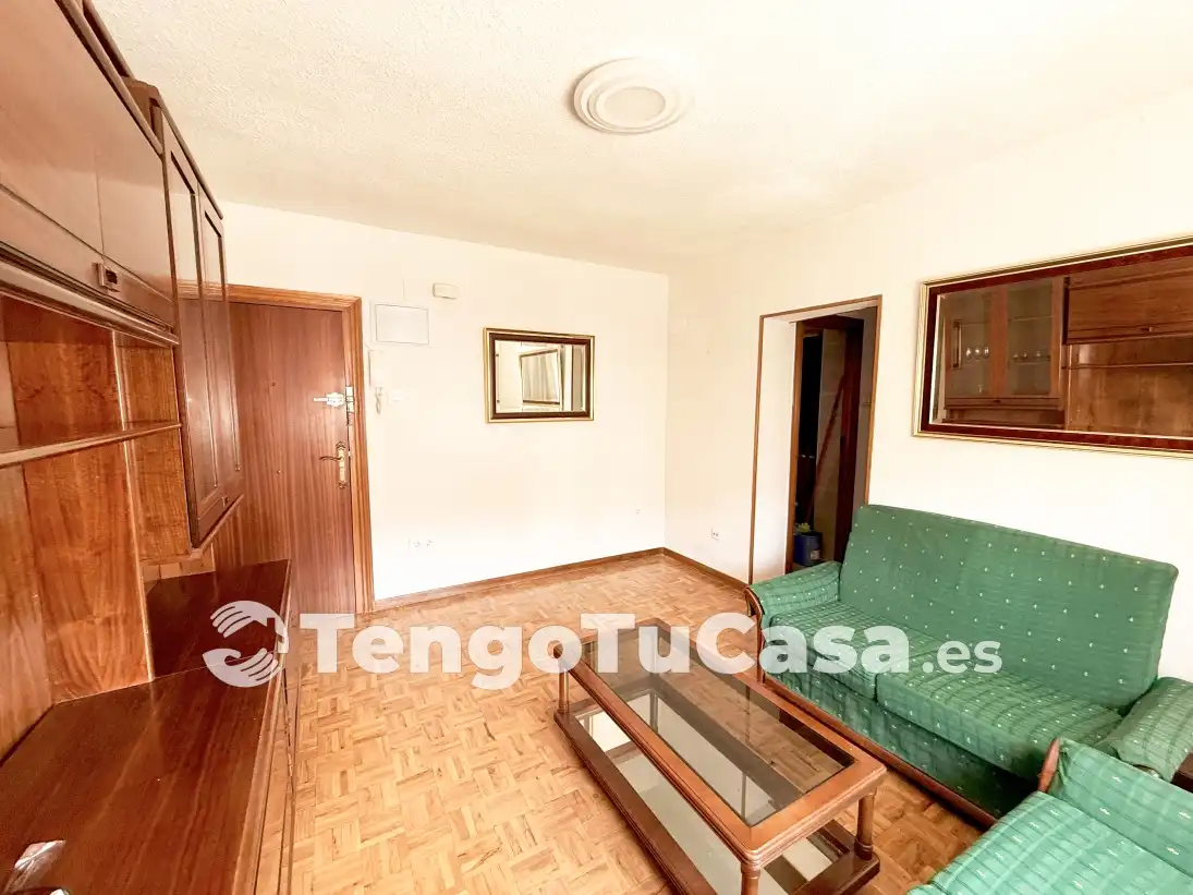 Living room of Flat for rent in Madrid  with Heating, Furnished and Oven