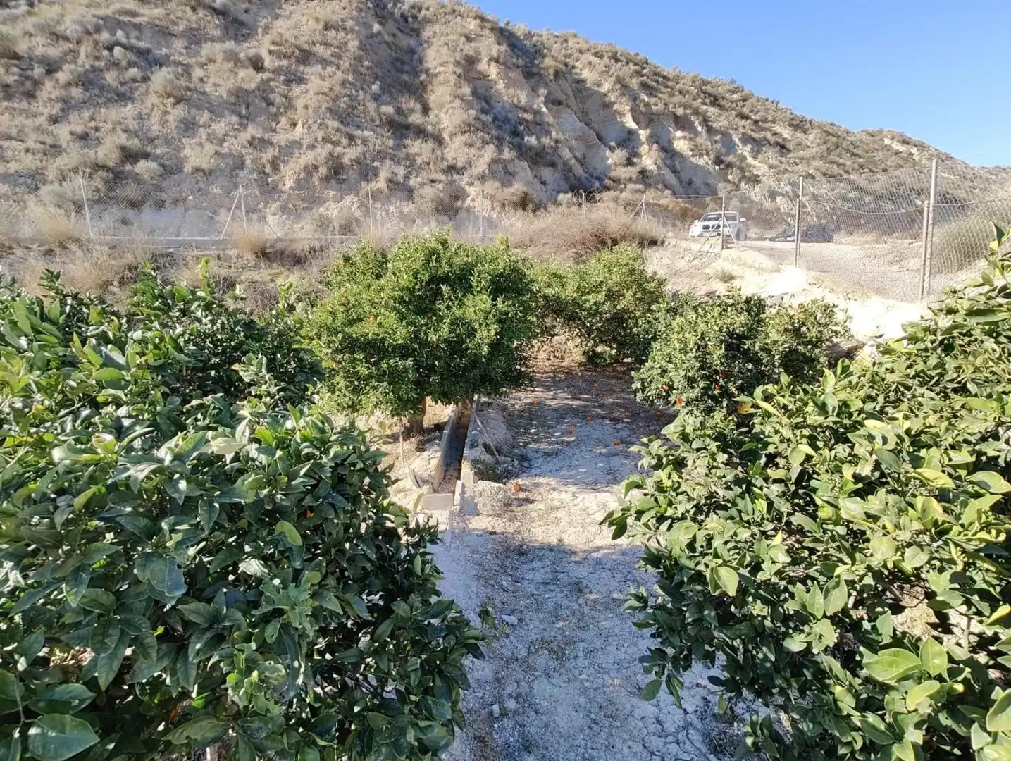 Lands and plots for sale in Mula, imagen 4