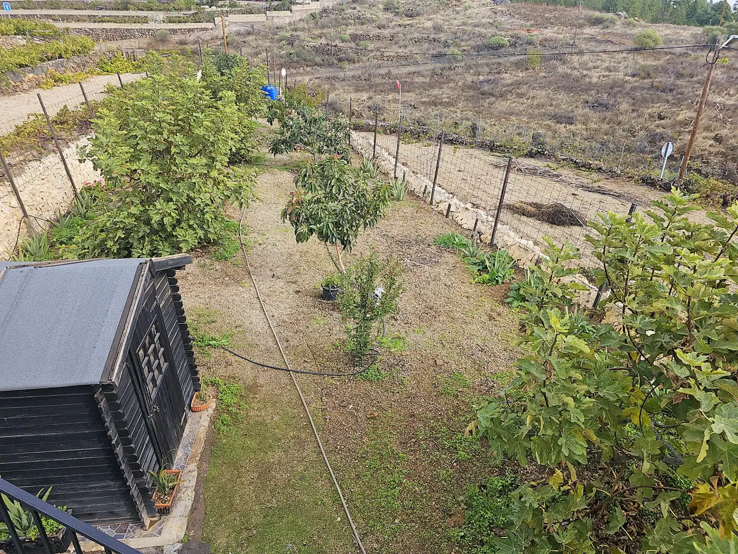 Finca rústica en venda en Granadilla de Abona