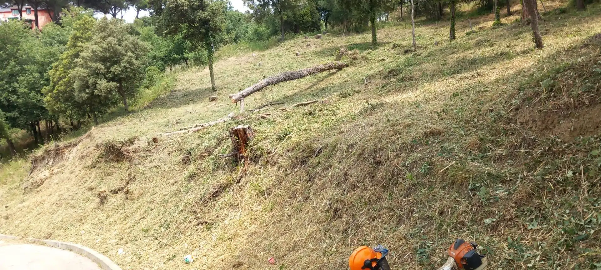 Terreni e lotti in vendita a Santa Maria de Palautordera, imagen 6